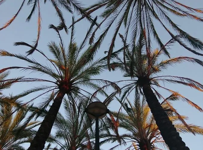 Luxury Apartmán Valencie