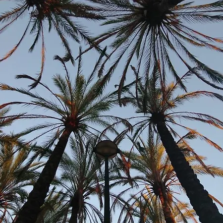 Luxury Daire Valensiya